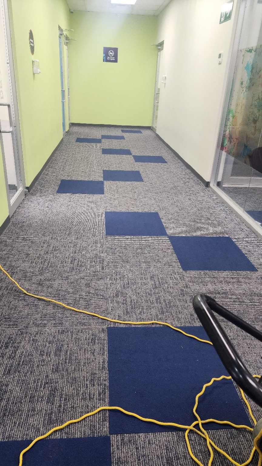 Equipo de trabajo en un pasillo alfombrado.